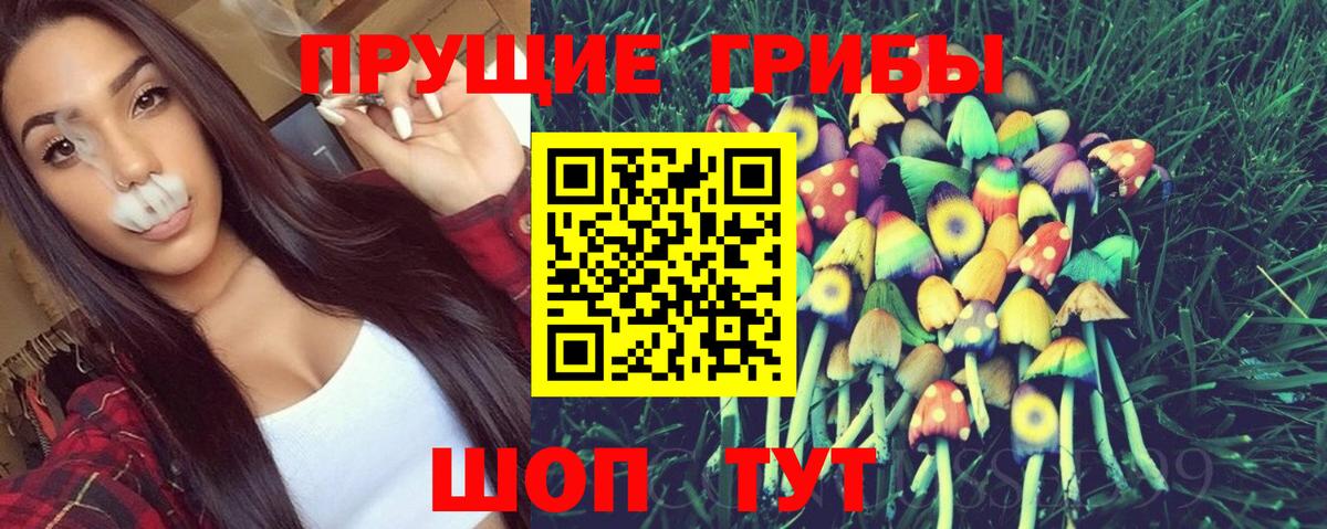 Псилоцибиновые грибы GOLDEN TEACHER  Вход с VPN  Краснодар 